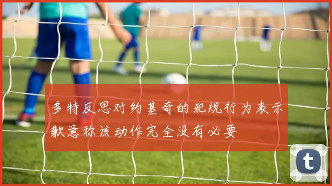 多特反思对约基奇的犯规行为表示歉意称该动作完全没有必要